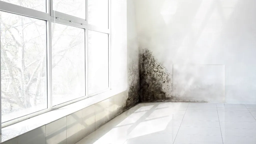 Background image for professional mold inspection scheduling CTA in Baton Rouge, Louisiana